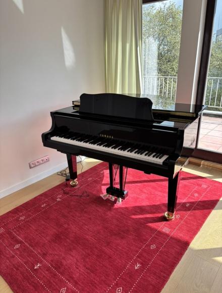 Vleugelpiano transport